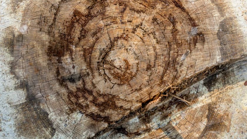 Rohstoffmärkte starten fulminant ins neue Jahr Vontobel