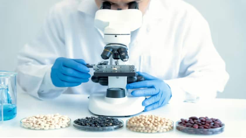 Wie Biosimilars zum Wachstumsmotor von Sandoz werden Vontobel