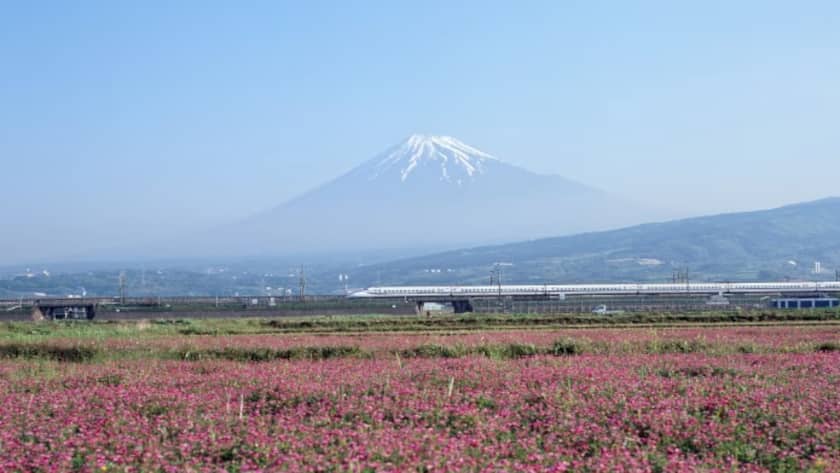 Japans Aktienmarkt in neuem Glanz Vontobel