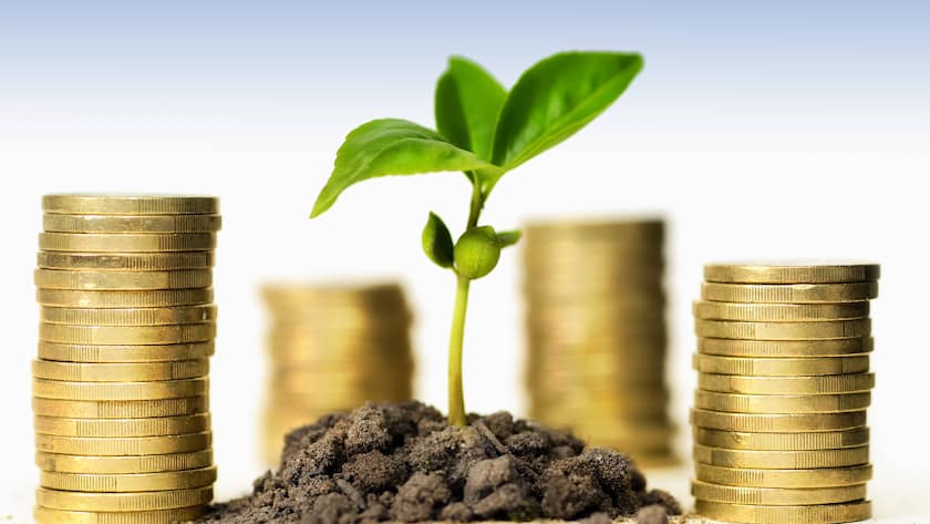 Grüner Spross und Geldmünzen