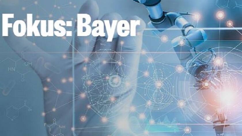 Underlying im Fokus: Bayer