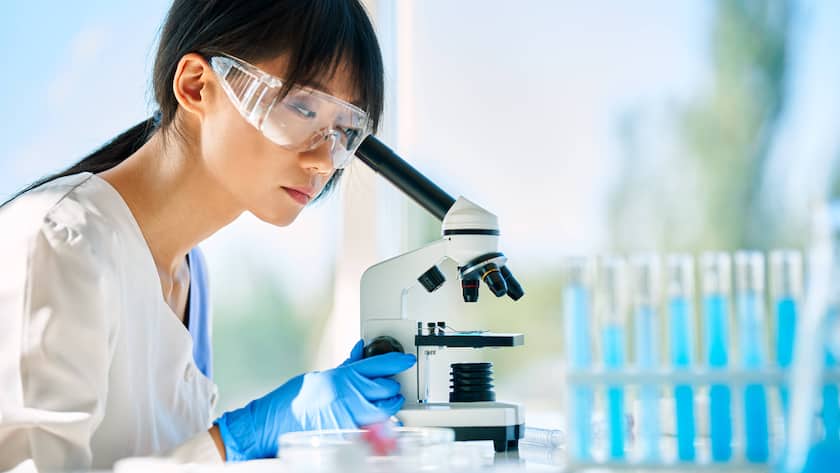 Eine Forscherin schaut in ein Mikroskop (2025).