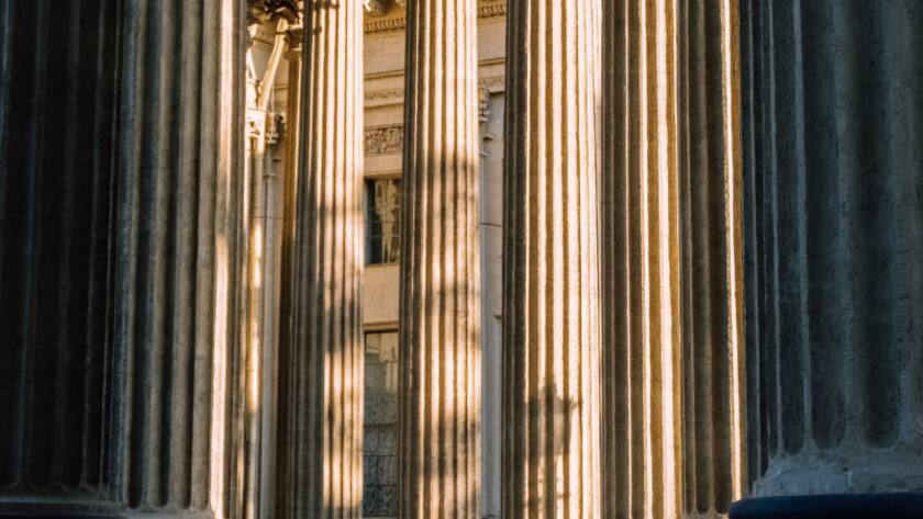 Petiole Advertorial columns