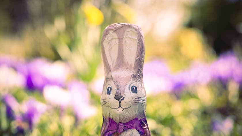 Schoko-Osterhase vor Blumenbeet.