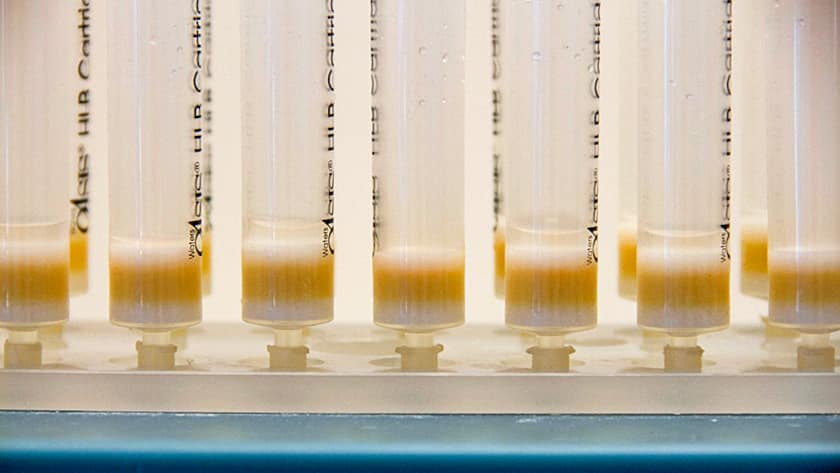 Ampullen in einem Pharma-Labor.