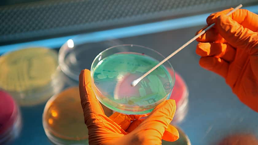 Ein Basilea-Mitarbeiter entnimmt im Labor eine Probe.