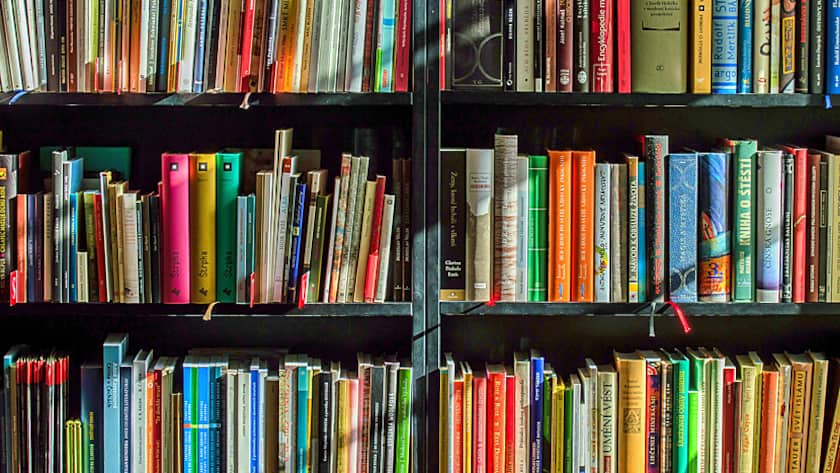 Viel Lesestoff: Büchergestell in einem Buchladen.