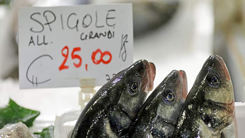 Seabass stand on display on a fresh fish market stall in the Mercato Rionale market in Rome, Italy, on Tuesday, Dec. 6, 2016.