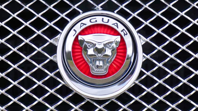Symbol für britischen Luxus: Kühleremblem der Marke Jaguar.