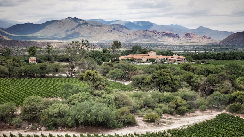 Wo der Wein dem Himmel näher kommt Bodega Colomé: Ältestes durchgehend produzierendes Weingut Argentiniens.