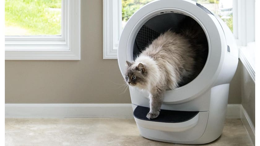 Smarte Gadgets für deine liebsten Vierbeiner Box by Blick - Vierbeiner