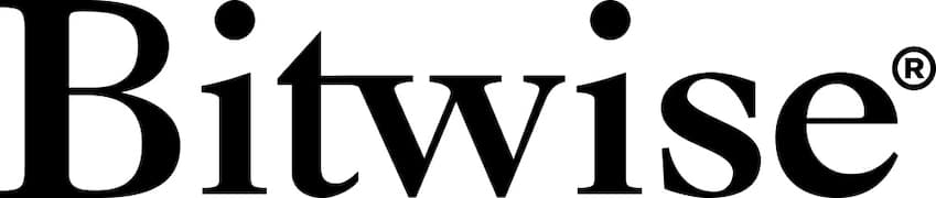 Bitwise Logo Neu