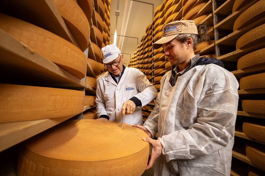 Später prüfen sie im Keller die Reife des Gruyères.